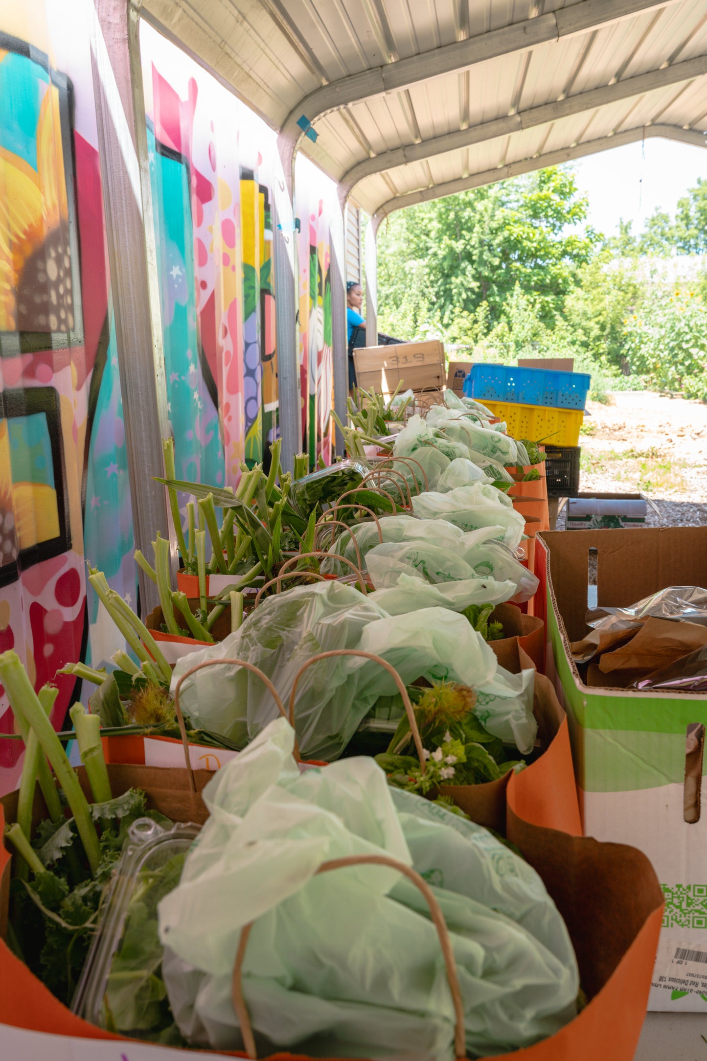 Zach Leonard Gift in Loving Memory of his mother Penelope Leonard