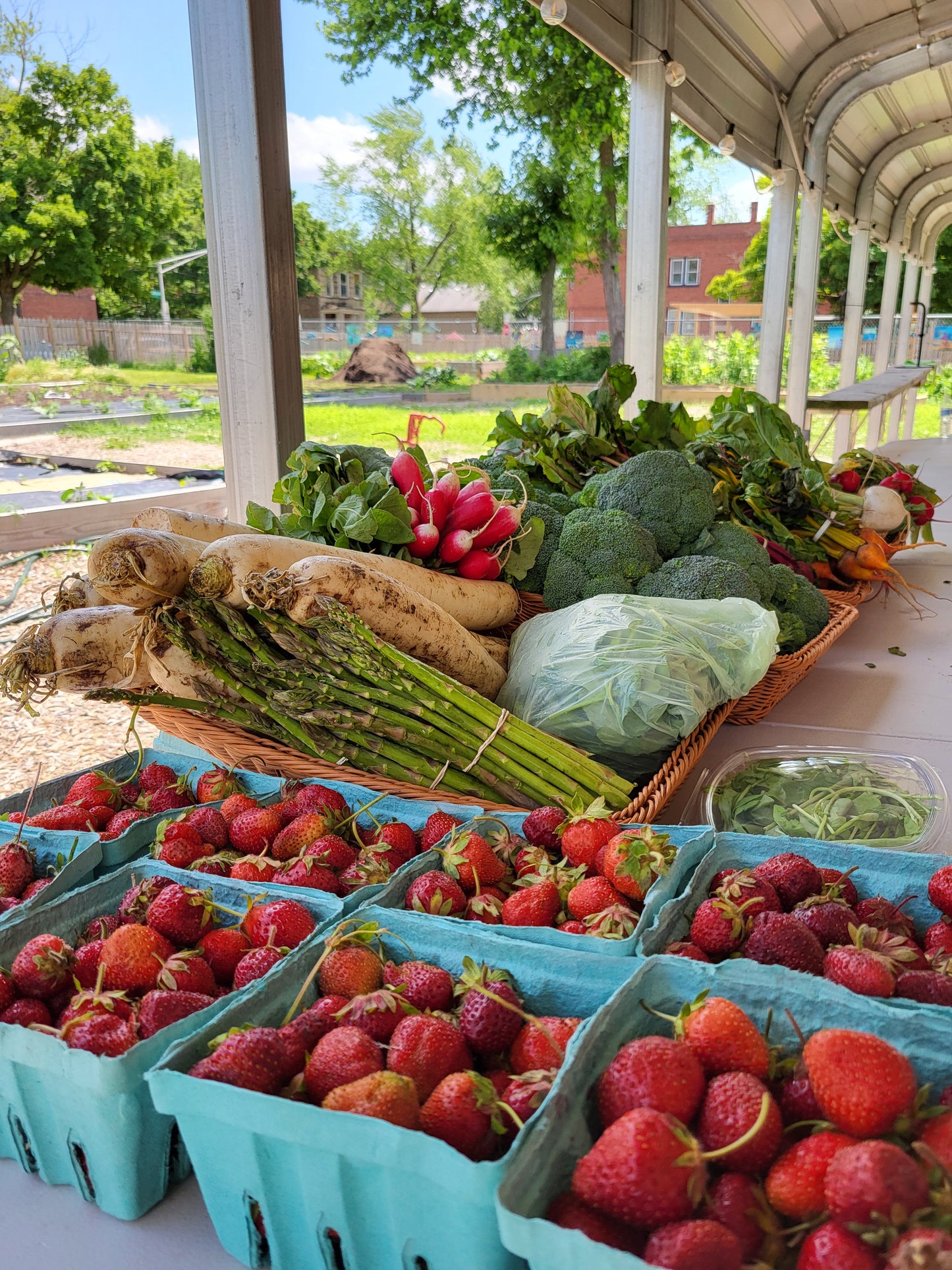 Zach Leonard Gift in Loving Memory of his mother Penelope Leonard