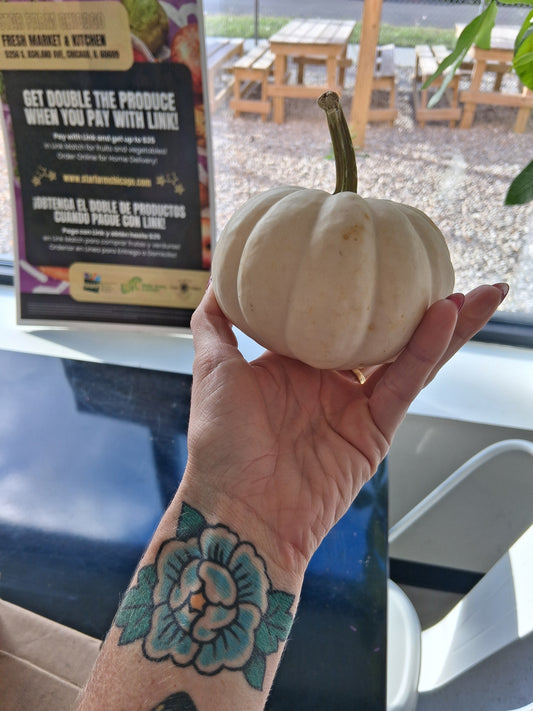 Pumpkins/Sterling Bay