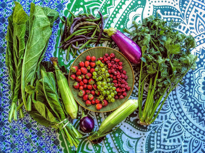 Zach Leonard Gift in Loving Memory of his mother Penelope Leonard