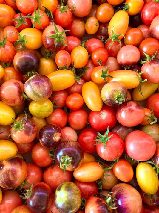 Cherry Tomatoes