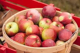 Organic Apple