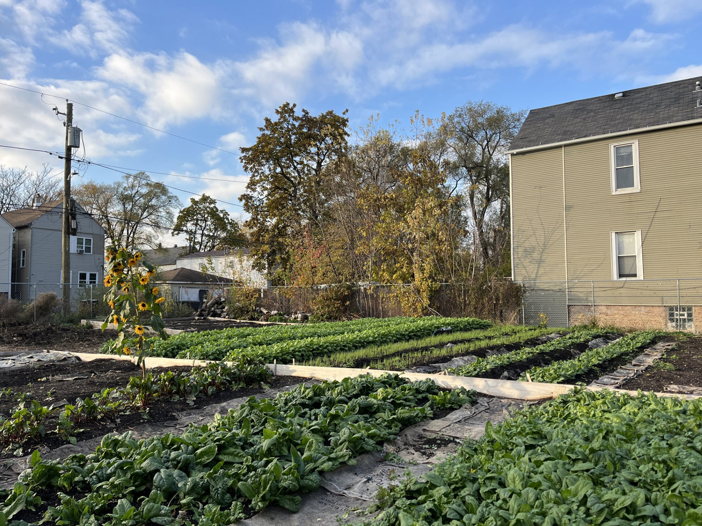Zach Leonard Gift in Loving Memory of his mother Penelope Leonard