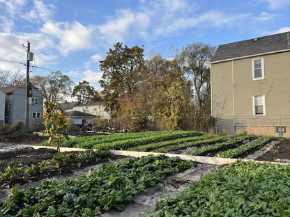 Zach Leonard Gift in Loving Memory of his mother Penelope Leonard